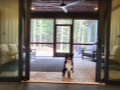 Back Entrance